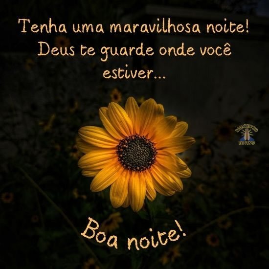 Boa noite