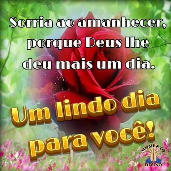 Um lindo dia para você