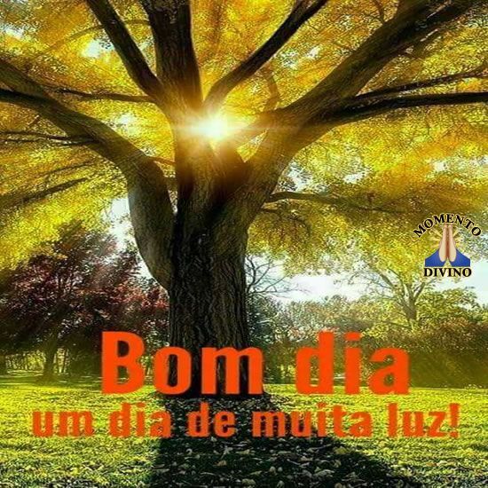 Bom dia