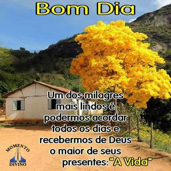 Bom dia