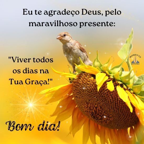 Bom dia