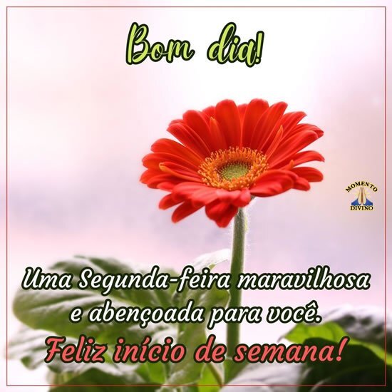 Feliz início de semana