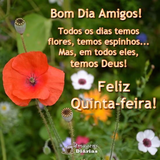 Feliz Quinta-feira