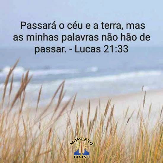 Lucas 21.33