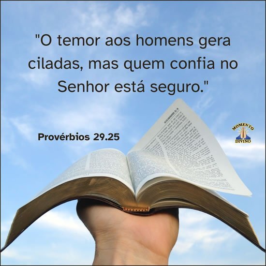 Provérbio 29.25