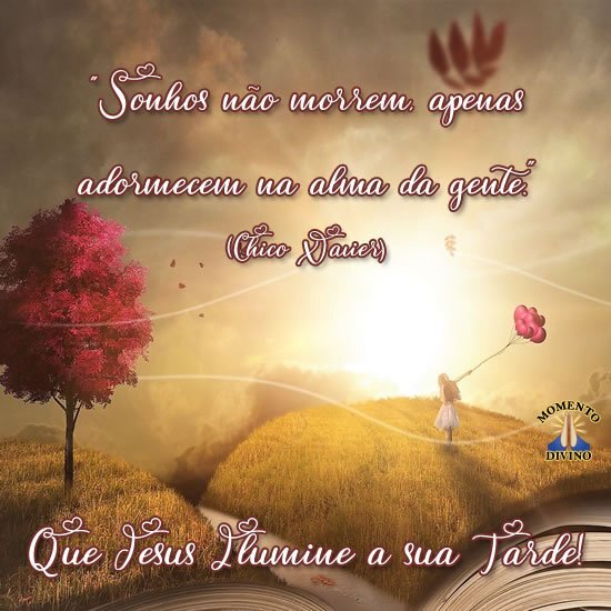 Que Jesus ilumine a sua tarde