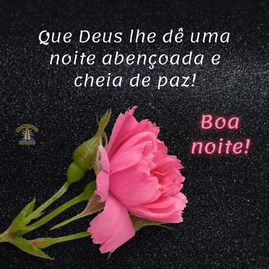 Boa noite