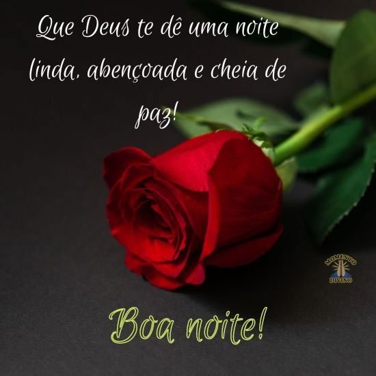 Boa Noite linda 