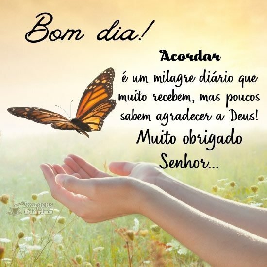 Bom dia