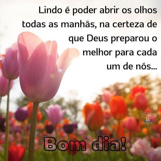 Bom dia