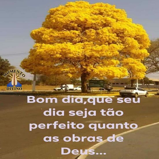 Bom dia