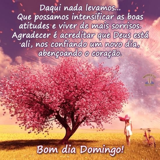 Bom dia Domingo