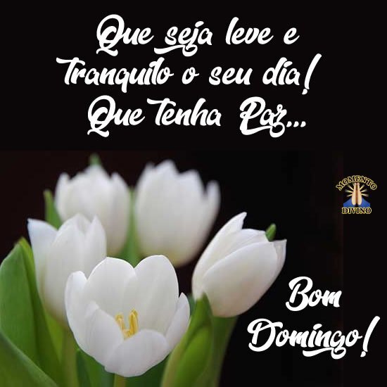 Bom Domingo