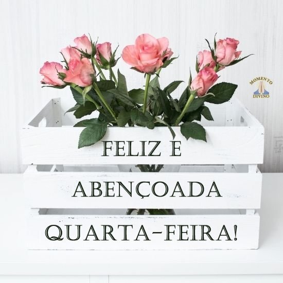 Feliz Quarta-feira