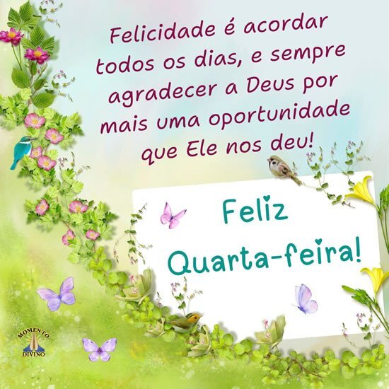 Feliz Quarta-feira