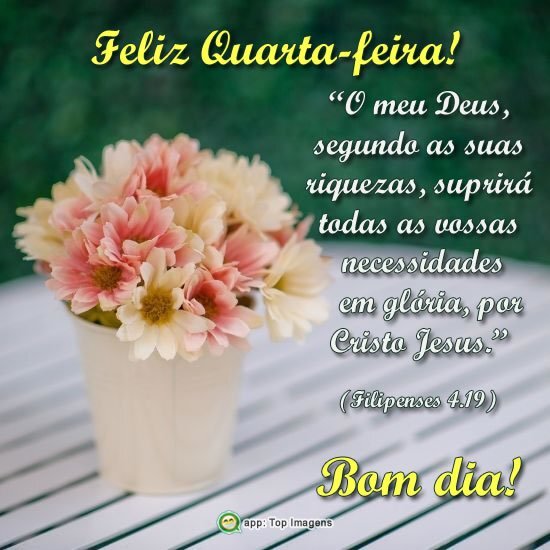 Feliz Quarta-feira