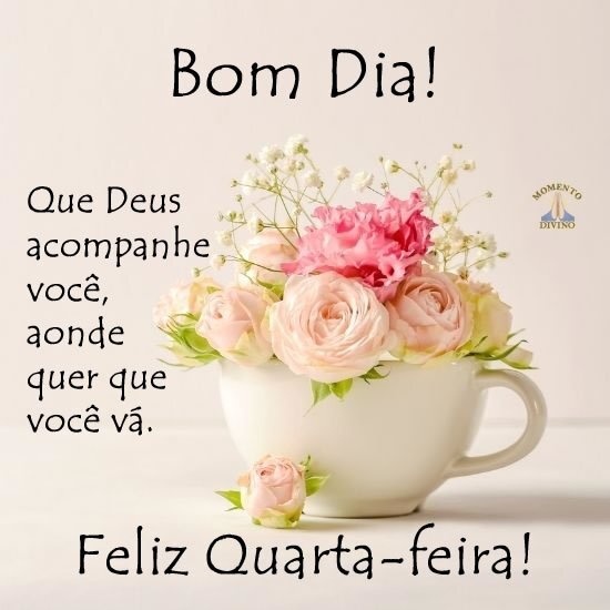 Feliz Quarta-feira