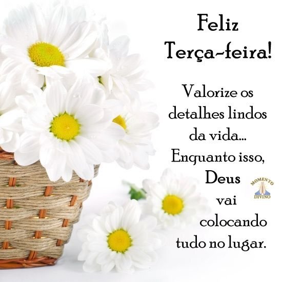 Feliz Terça-feira