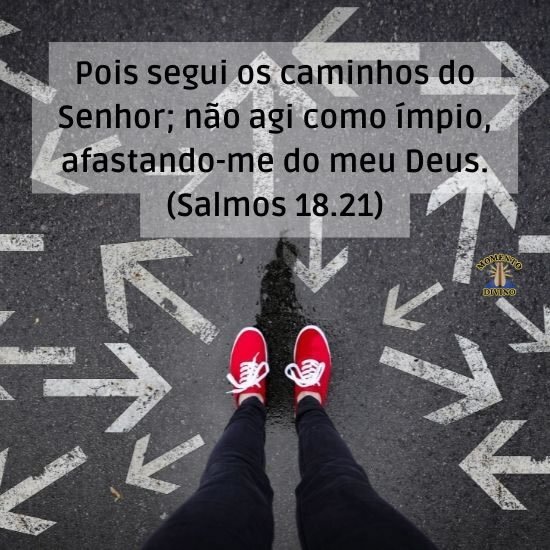 Salmos 18.21