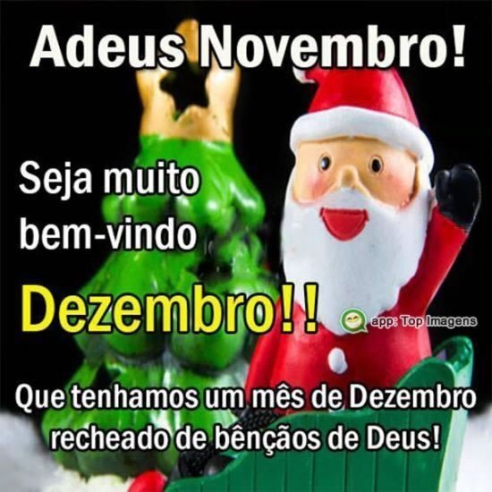 Adeus Novembro