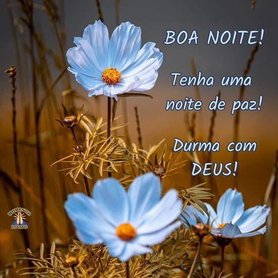 Boa noite