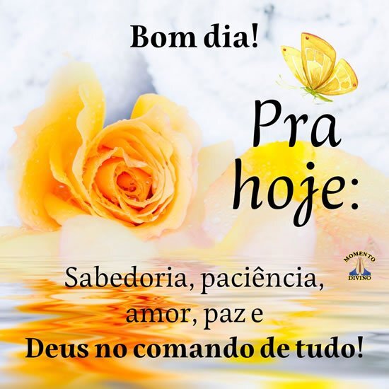 Bom dia grupo feliz sabado 87 