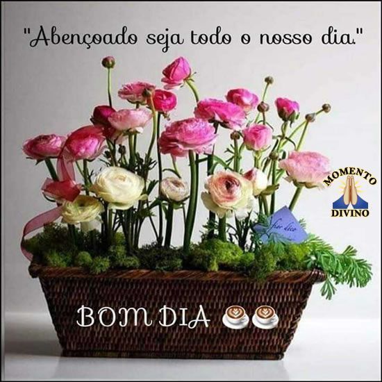 Bom dia