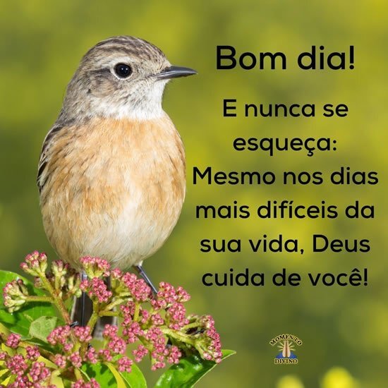 Bom dia