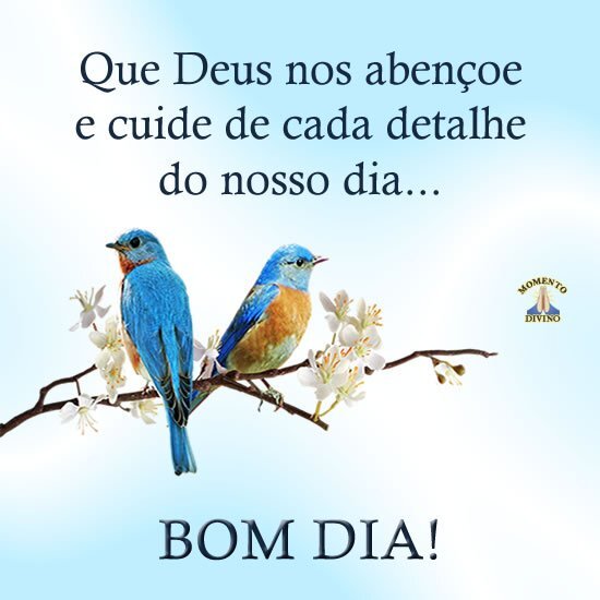 Bom dia