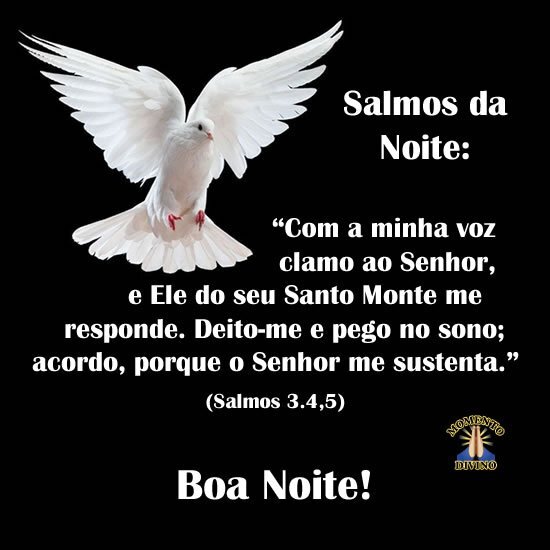 Salmos da Noite