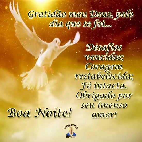 Boa noite 🙏🏾 #boanoite #gratidao #deus #fe #fypシ