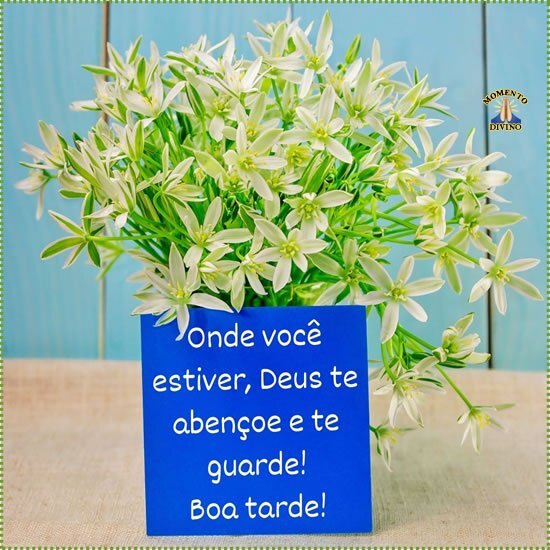 Boa tarde