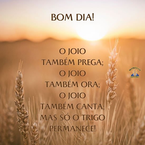 Bom dia