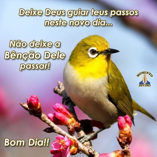 Bom dia