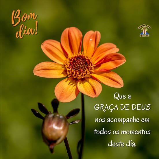 Bom dia