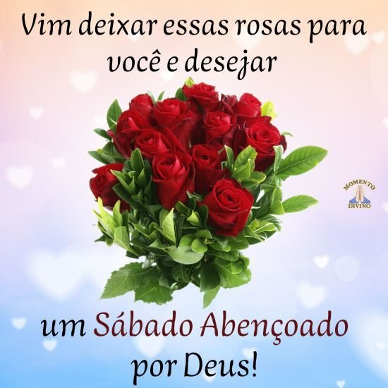 🍃🌺Rosane🌺🍃 on X: Bom dia amigos! Desejo um abençoado sábado