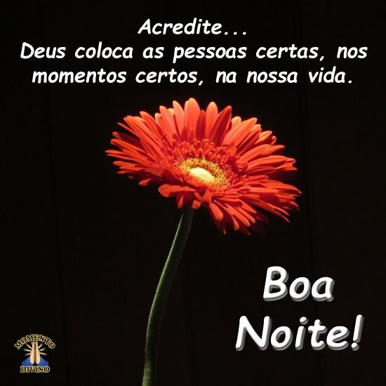 Boa Noite