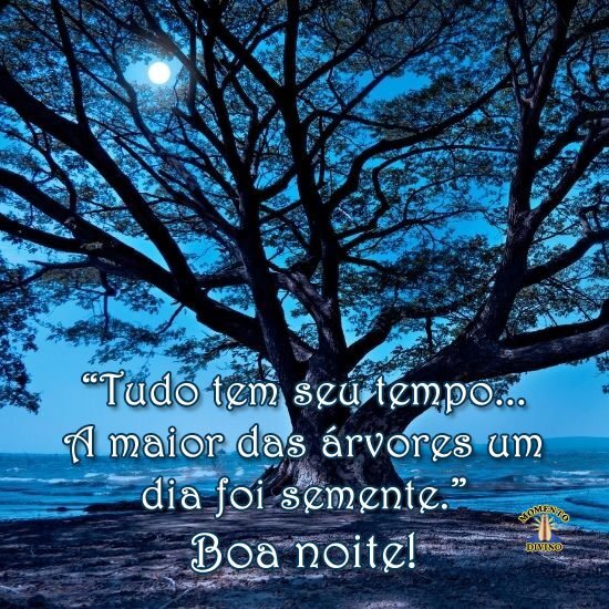 Boa noite