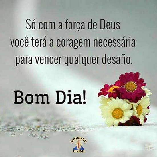 Bom Dia