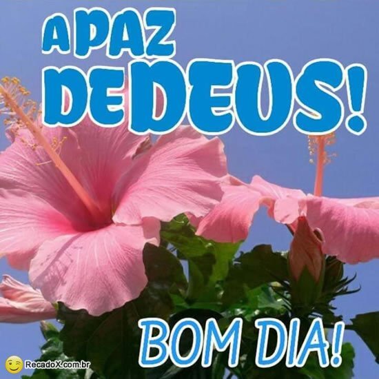 Bom dia