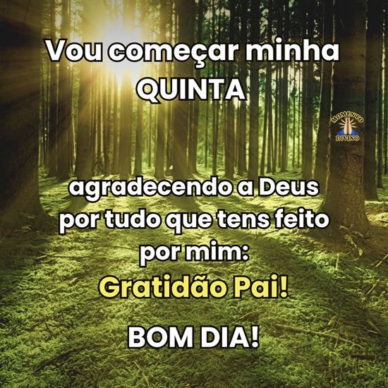 Vou começar minha Quinta