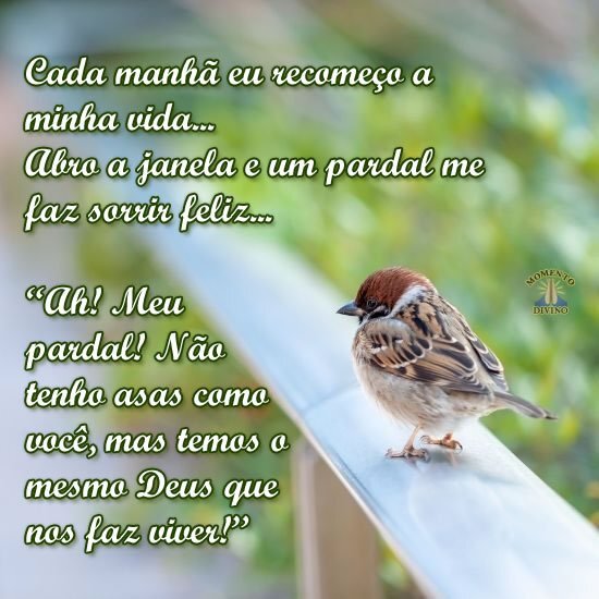 Cada manhã eu recomeço a minha vida