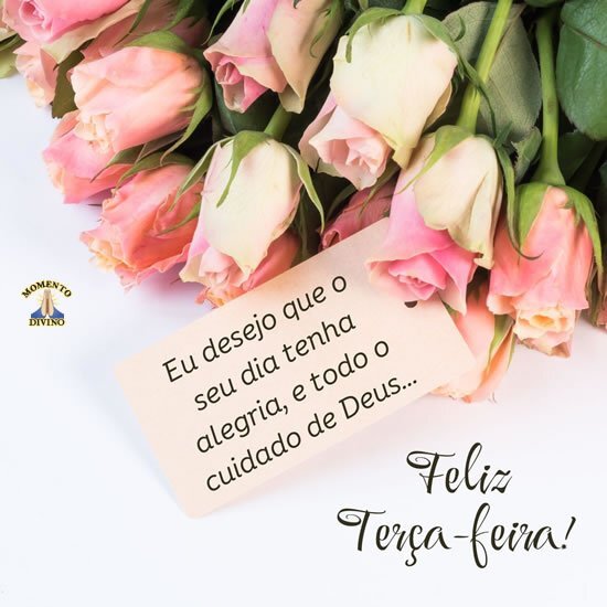 Feliz Terça-feira