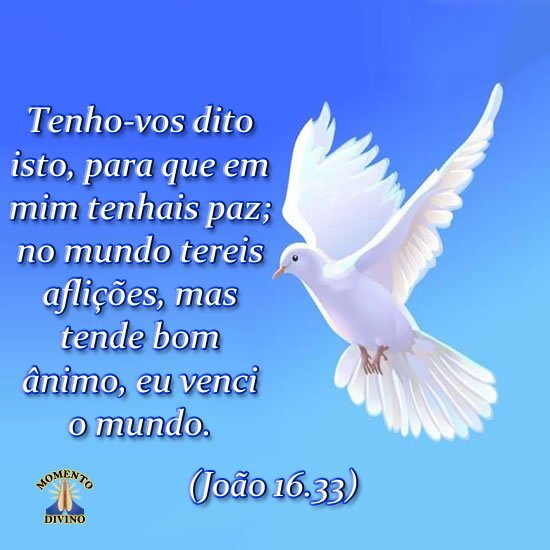 João 16.33