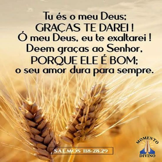 Salmos 118.28