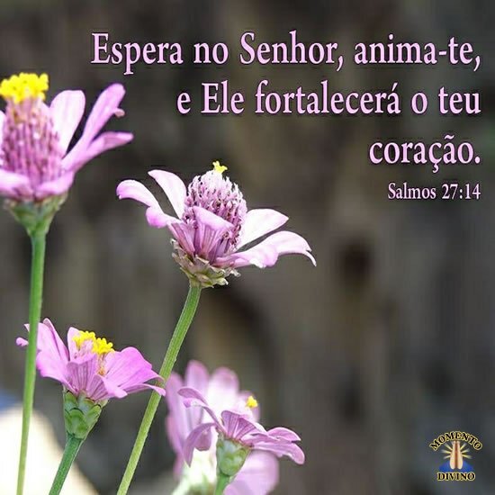 Salmos 27.14