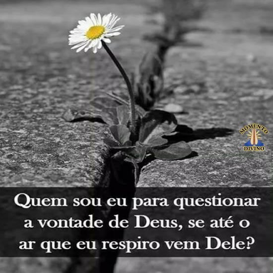 Questionar a vontade de Deus