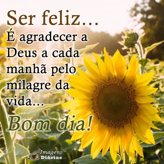 Ser feliz pelo milagre da vida