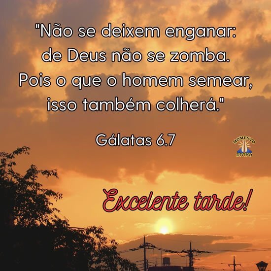 Excelente tarde