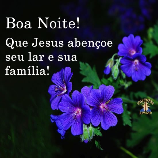 Boa noite